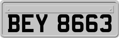 BEY8663