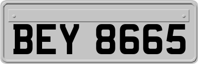 BEY8665