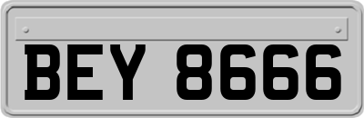 BEY8666