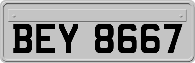 BEY8667