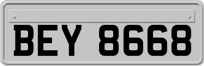 BEY8668