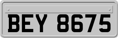 BEY8675