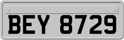 BEY8729