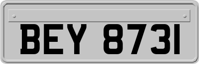 BEY8731