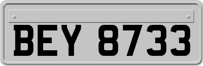 BEY8733