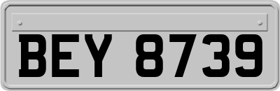 BEY8739