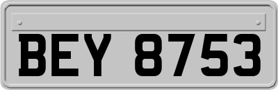 BEY8753