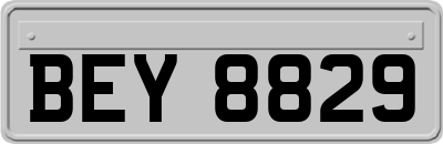 BEY8829