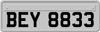 BEY8833