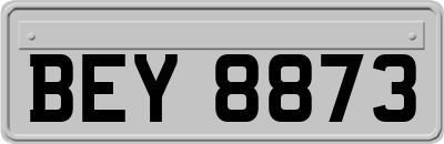 BEY8873