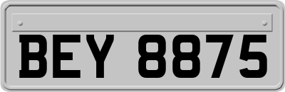 BEY8875