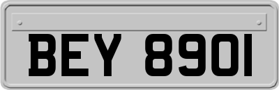 BEY8901