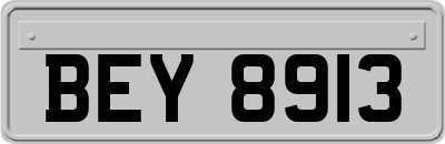 BEY8913