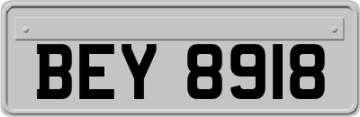 BEY8918