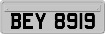 BEY8919