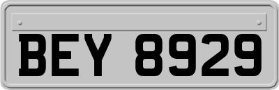 BEY8929