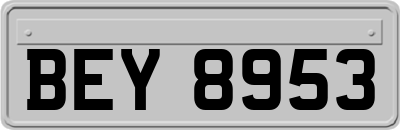 BEY8953