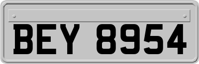 BEY8954