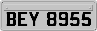 BEY8955