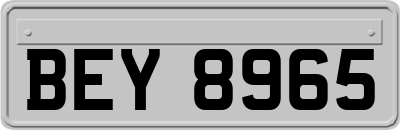 BEY8965