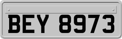 BEY8973