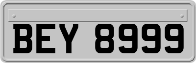 BEY8999