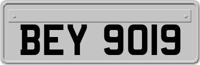 BEY9019