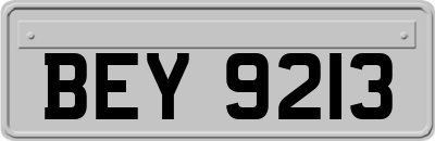 BEY9213