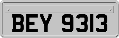 BEY9313