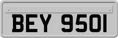 BEY9501