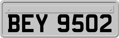 BEY9502