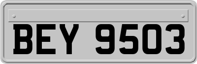 BEY9503