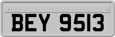 BEY9513