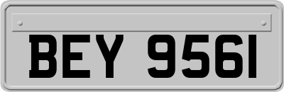 BEY9561