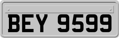 BEY9599