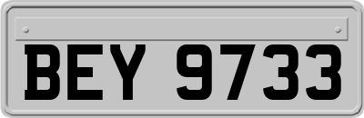 BEY9733