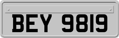 BEY9819