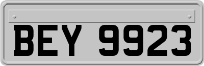 BEY9923