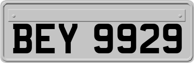 BEY9929