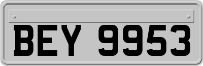 BEY9953