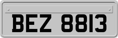 BEZ8813