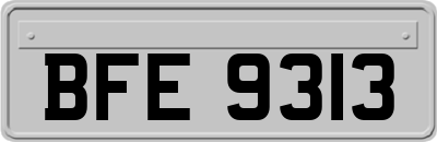 BFE9313