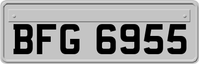 BFG6955