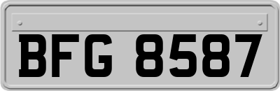 BFG8587