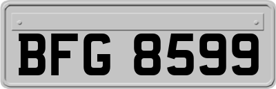 BFG8599