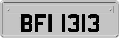BFI1313