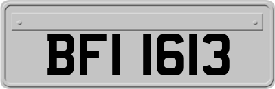 BFI1613