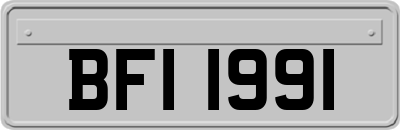 BFI1991