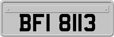 BFI8113