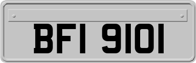 BFI9101